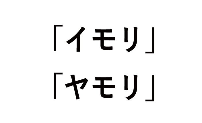 イモリとヤモリの違い！何類？家を守るのは？漢字表記は？