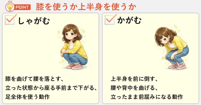 「しゃがむ」と「かがむ」の違いを簡単にまとめると