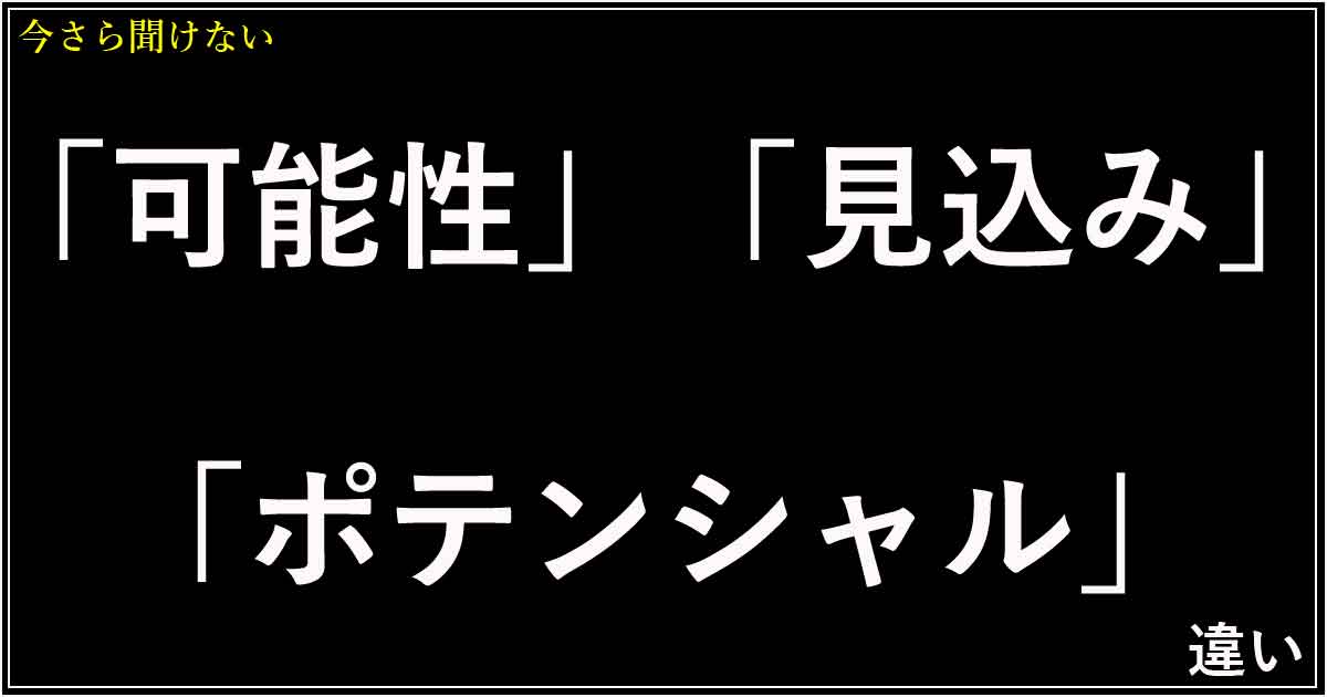 「可能性」「見込み」「ポテンシャル」の違い