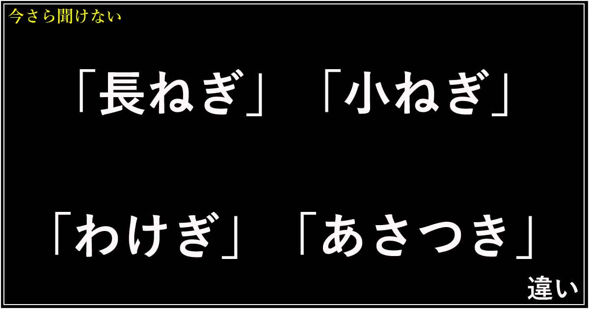 「長ねぎ」「小ねぎ」「わけぎ」「あさつき」の違い