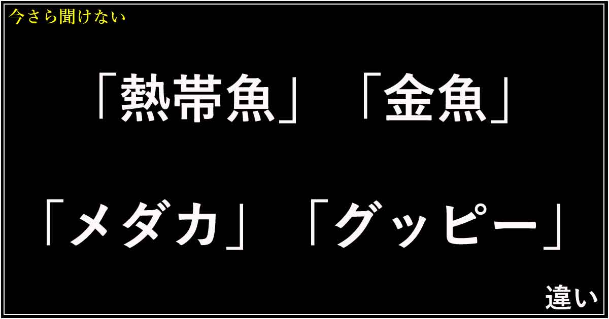 「熱帯魚」「金魚」「メダカ」「グッピー」の違い